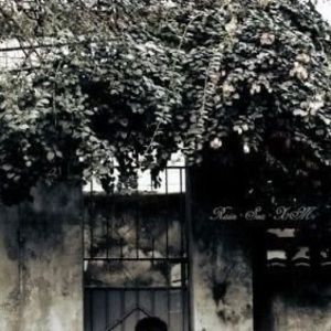 Meet your Posher, Jin